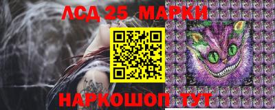 спиды Новозыбков