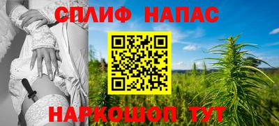 спиды Новозыбков