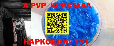 спиды Новозыбков
